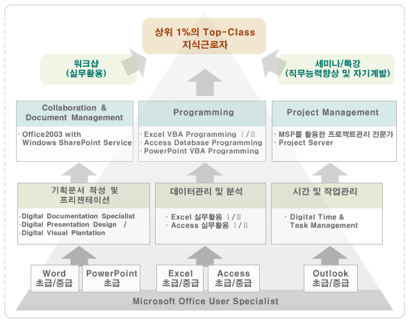 교육과정체계도